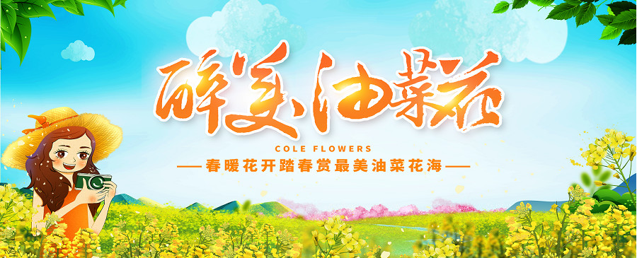賞花