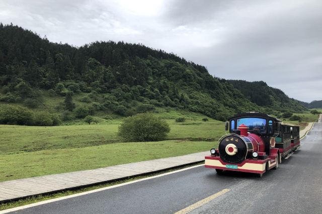 仙女山国家森林公园